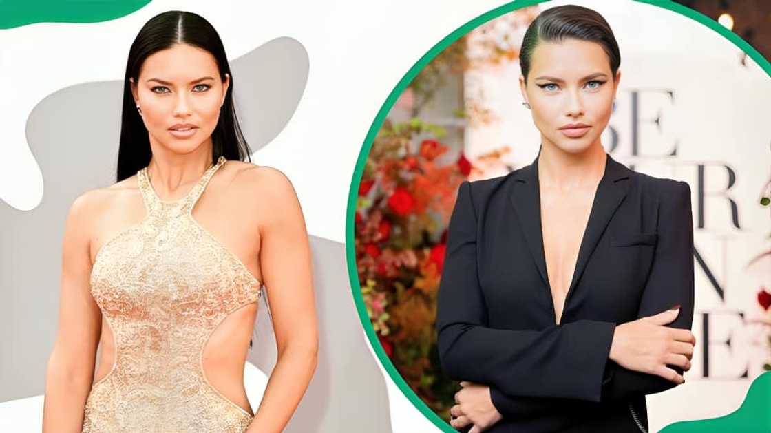 highest-paid model highest-paid model