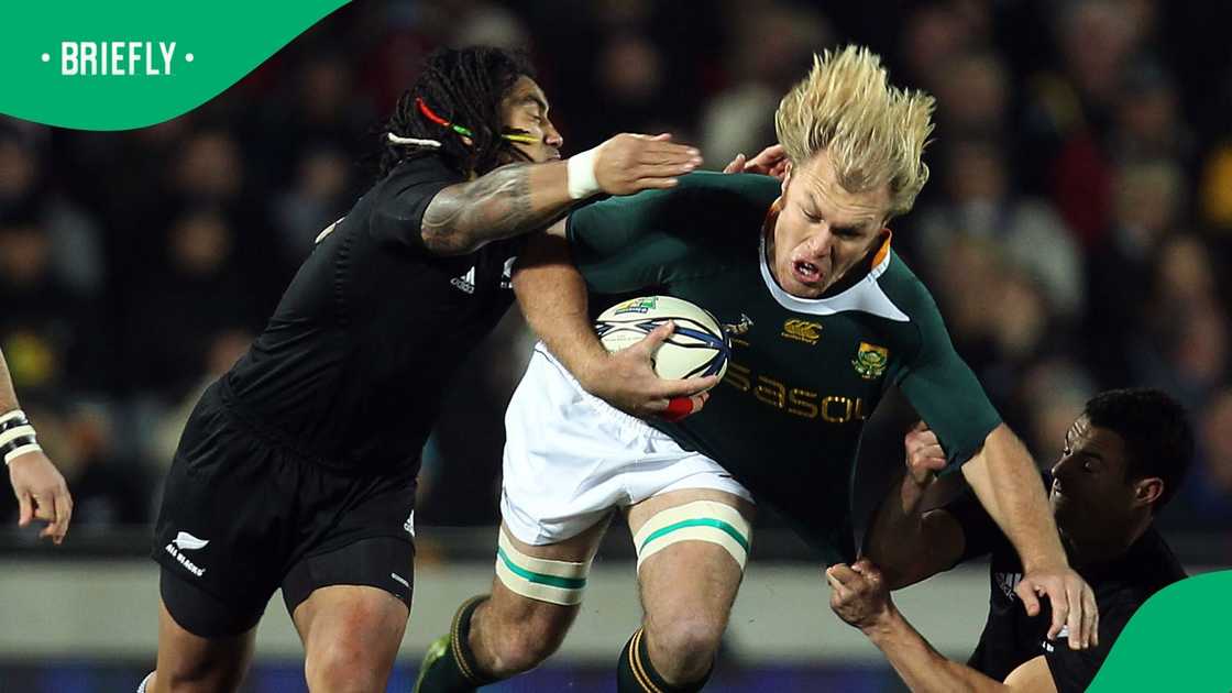 Springboks, South Africa, Schalk Burger Jnr Springboks, South Africa, Schalk Burger Jnr