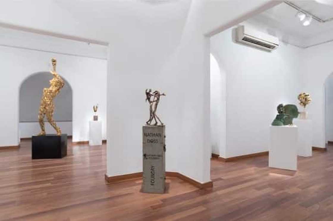 largest art gallery in africa largest art gallery in africa