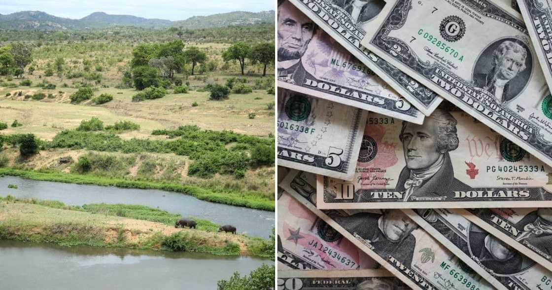 Limpopo game farm robbed Limpopo game farm robbed