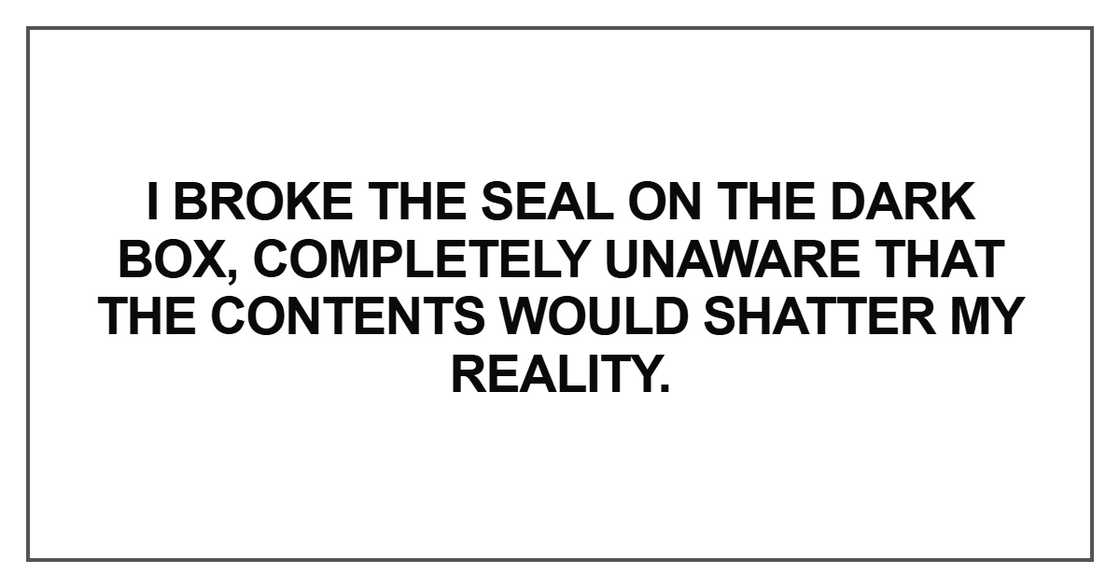 I broke the seal on the dark box, completely unaware that the I broke the seal on the dark box, completely unaware that the