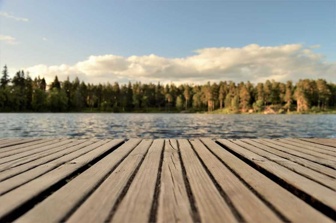 Weather and seasons in South Africa: Here's all you need to know Weather and seasons in South Africa: Here's all you need to know