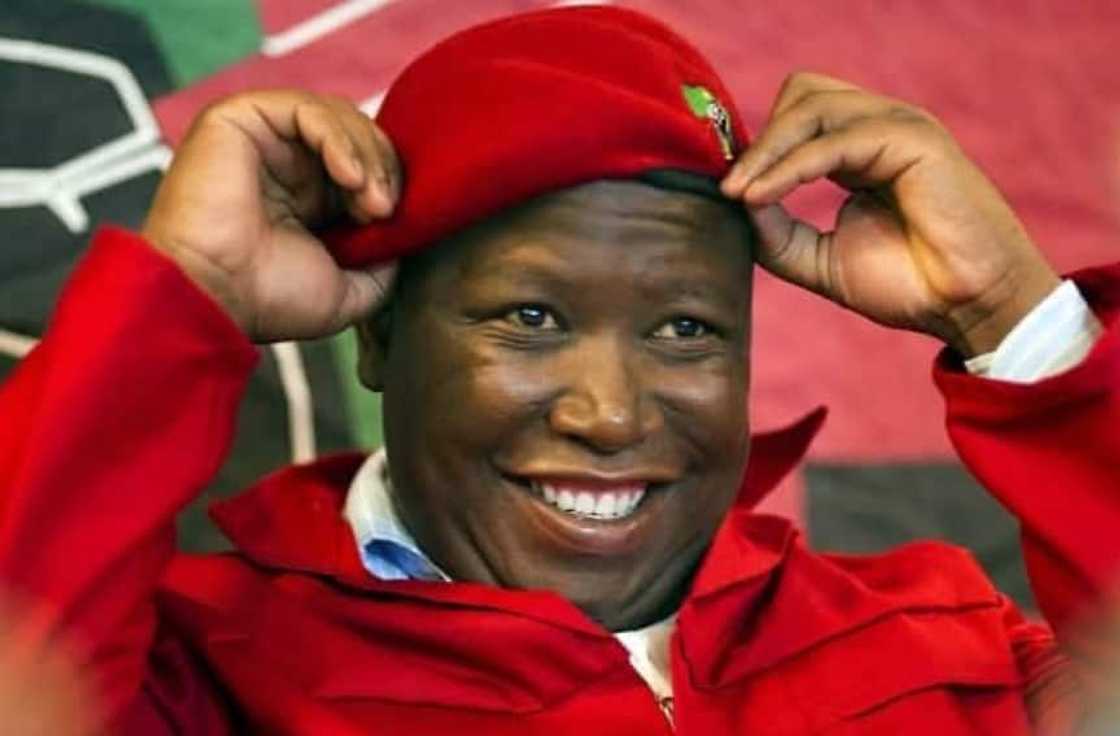 EFF CIC Julius Malema EFF CIC Julius Malema