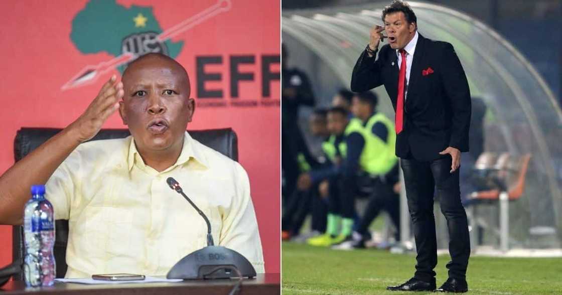 EFF have Lambasted Chippa United chairman Siviwe Mpengesi for hiring Luc Eymael. Image: Twitter EFF have Lambasted Chippa United chairman Siviwe Mpengesi for hiring Luc Eymael. Image: Twitter