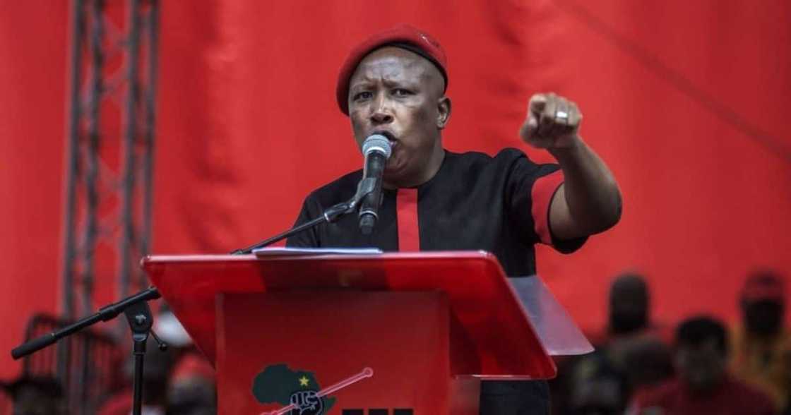 Julius Malema, EFF, land expropriation, land reform, 18th Amendment Bill Julius Malema, EFF, land expropriation, land reform, 18th Amendment Bill