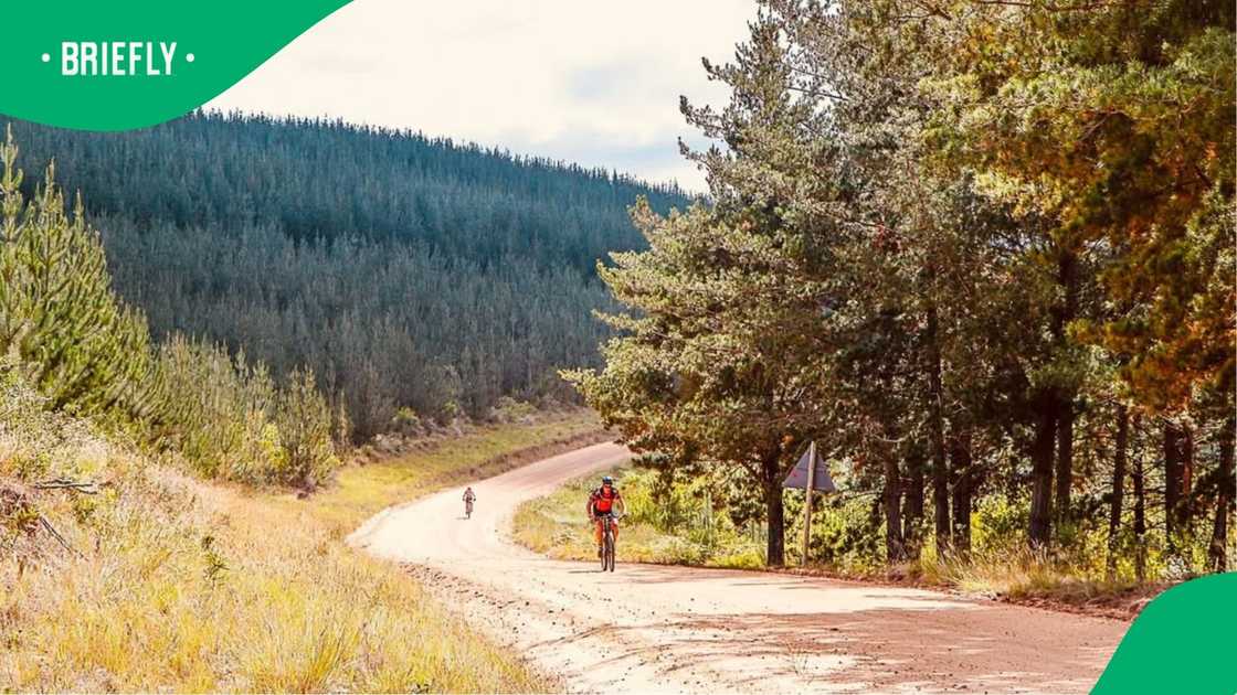 Cyclists in Mossel Bay. Cyclists in Mossel Bay.