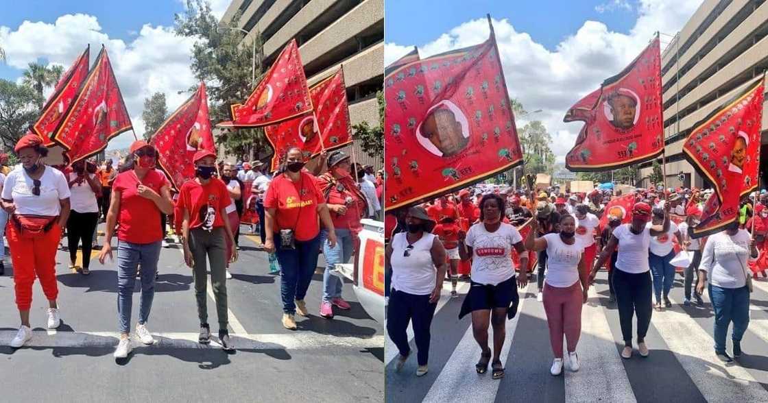EFF gives ultimatum to Amathole Municipality, threatens to protest EFF gives ultimatum to Amathole Municipality, threatens to protest