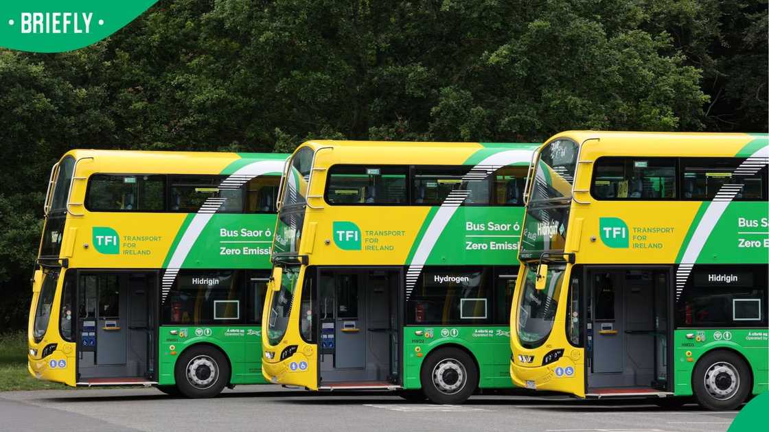Dublin Bus
