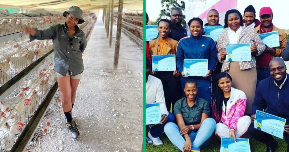 A farmer in KZN is working hard. She also has an agricultural academy. A farmer in KZN is working hard. She also has an agricultural academy.