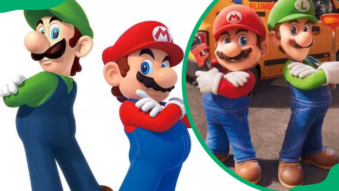 Mario and Luigi