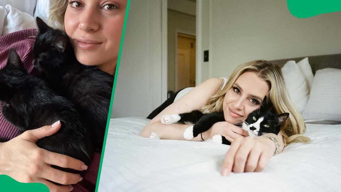 Jacqui Heinrich's cats Jacqui Heinrich's cats