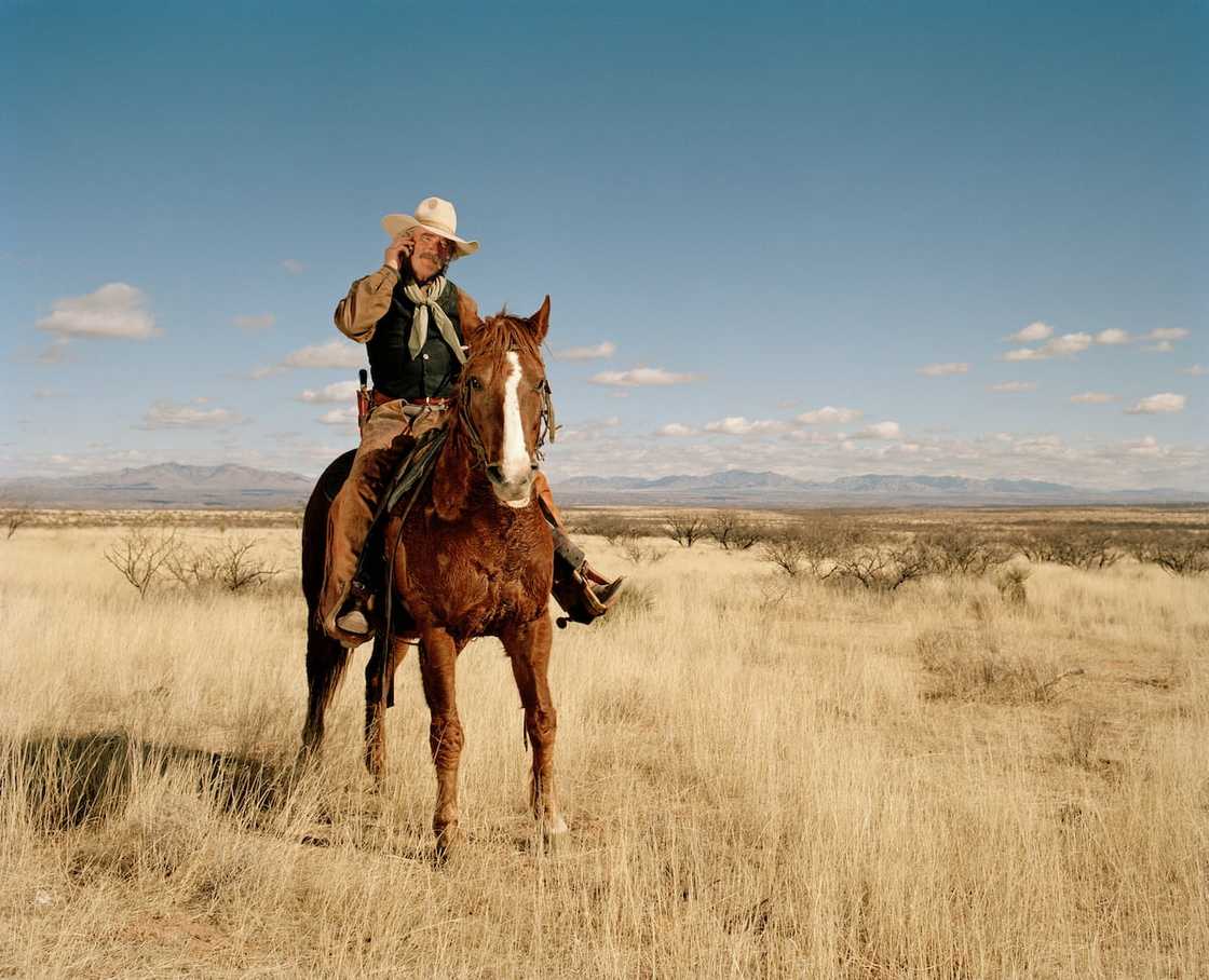 cowboy jokes cowboy jokes