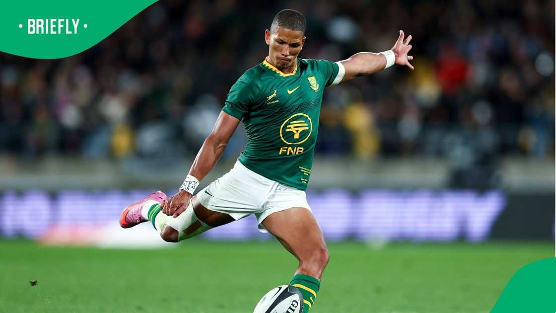 Manie Libbok, Springboks, Rugby Championship