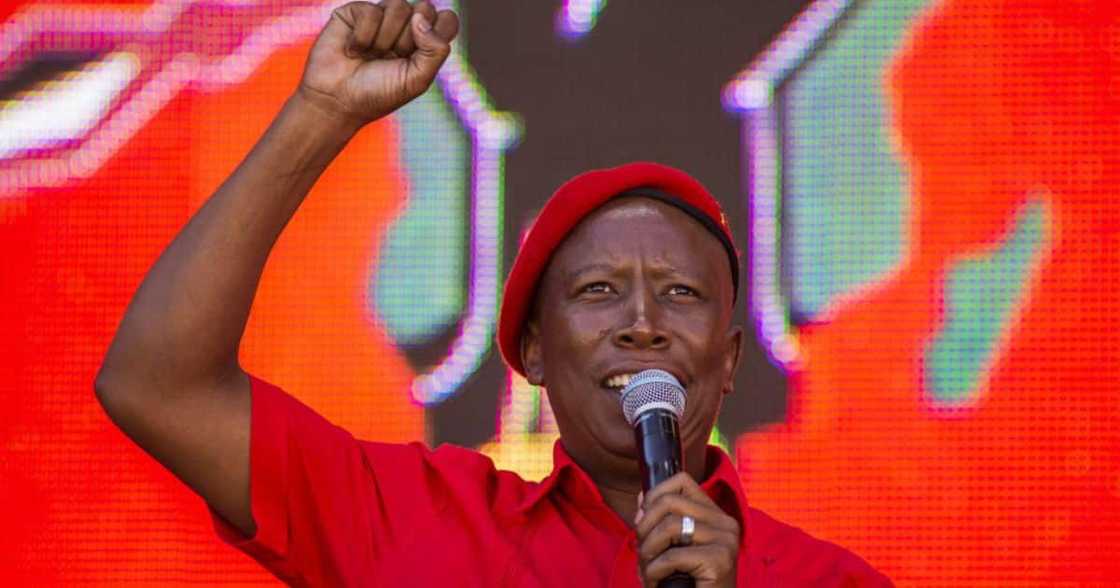 Julius said unemployed graduates should get R1 000 stipend Julius said unemployed graduates should get R1 000 stipend