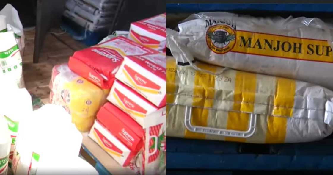 Maize Meal Maize Meal