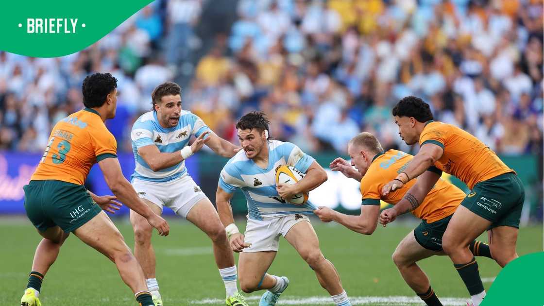 Los Pumas, Wallabies, Springboks, Rugby Championship