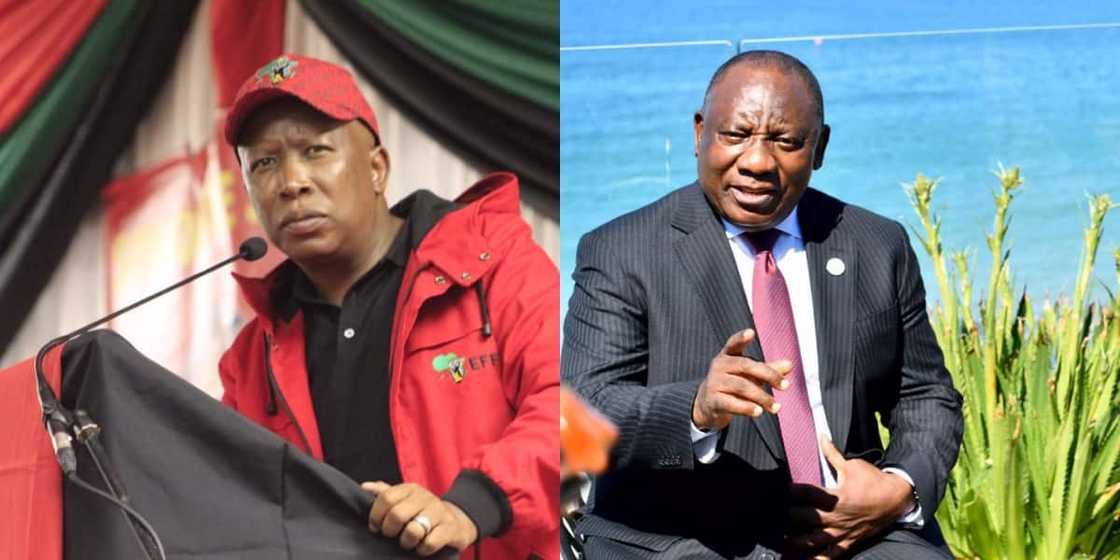 Julius Malema, Cyril Ramaphosa, EFF Julius Malema, Cyril Ramaphosa, EFF