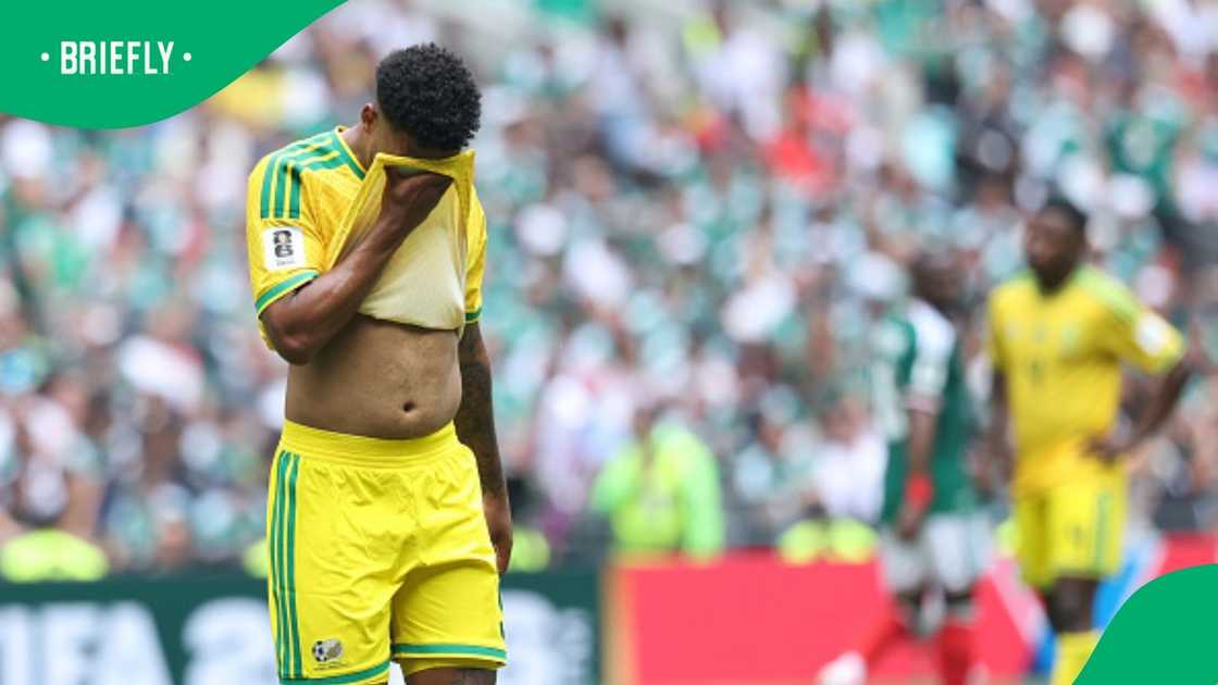 Bafana Bafana, Lyle Foster, South Africa, FIFA World Cup Bafana Bafana, Lyle Foster, South Africa, FIFA World Cup