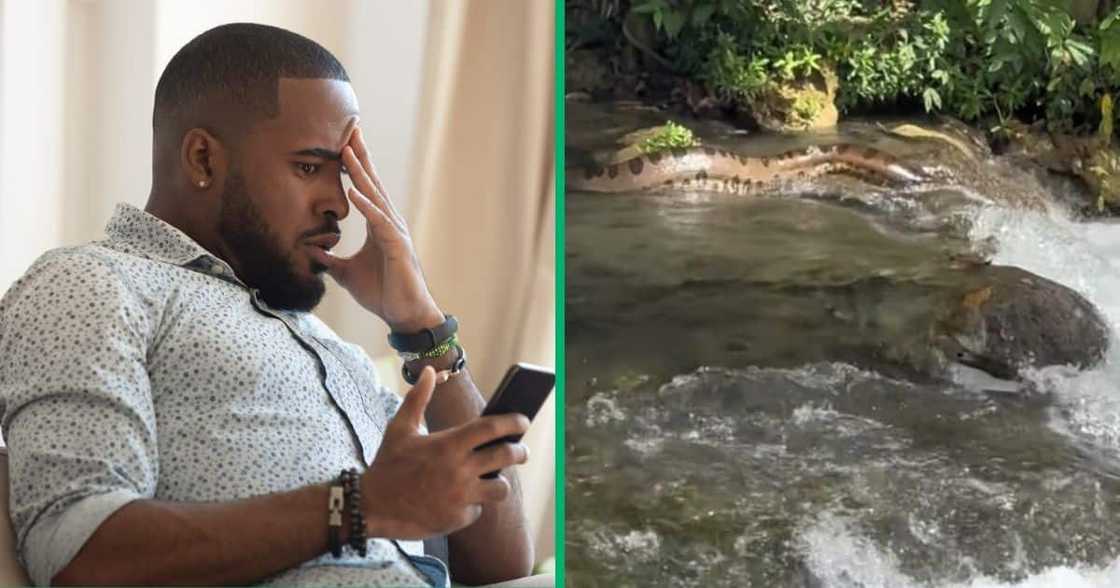 A video of an anaconda sighting went TikTok viral A video of an anaconda sighting went TikTok viral