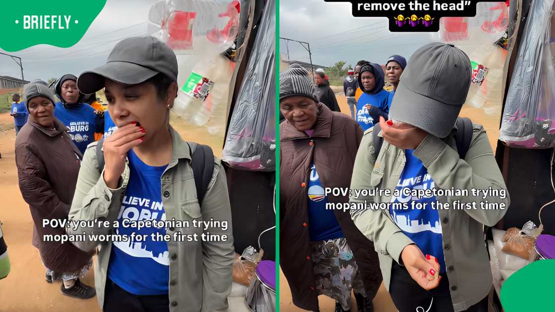 Brains behind Helen Zille’s social media campaign tries mopani worms for first time