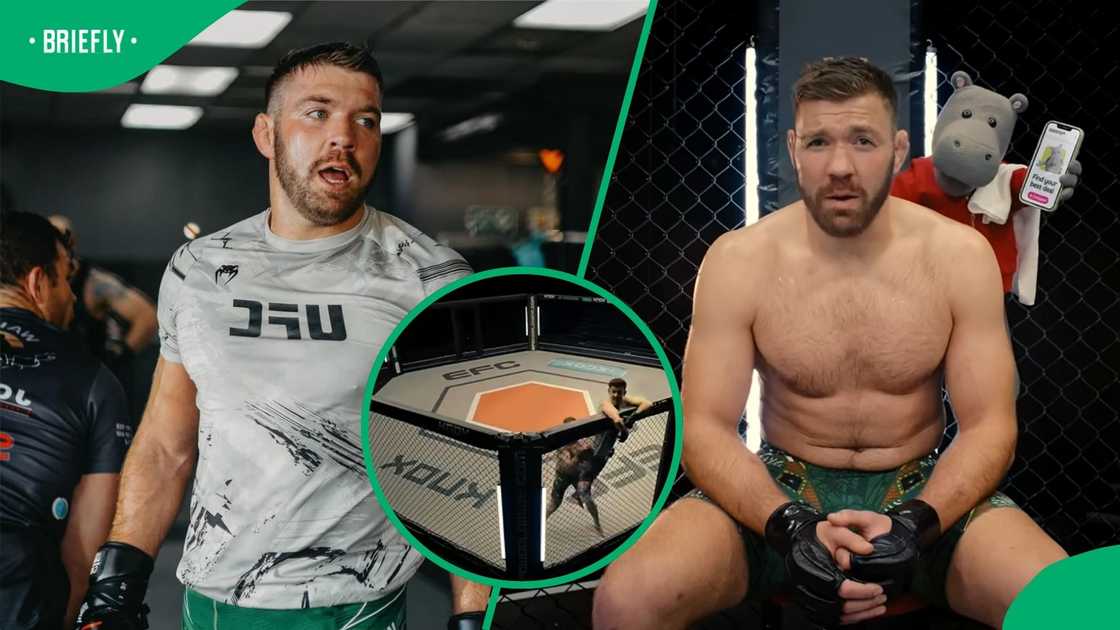 Collage of UFC champion Dricus du Plessis training, sitting inside an MMA octagon beside the Hippo mascot holding a smartphone, with an inset showing a fighter being knocked down in the cage.