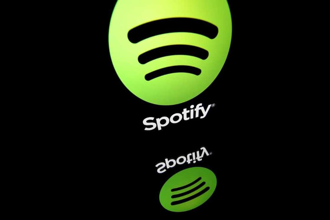 Despite its success in the online music market, the company has never posted a full-year net profit and only occasionally quarterly profits Despite its success in the online music market, the company has never posted a full-year net profit and only occasionally quarterly profits