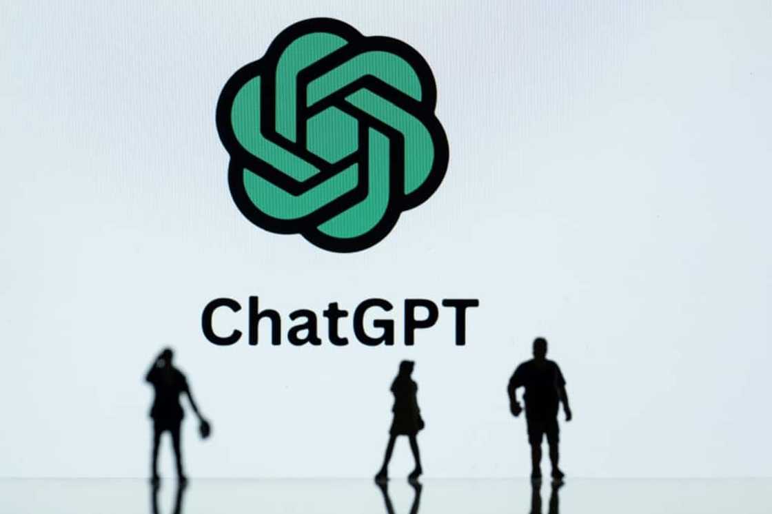 ChatGPT became the fastest adopted app in history (since taken over by Meta’s Threads) as users marveled at the generation of poems, recipes - or whatever the internet could muster - in just seconds
