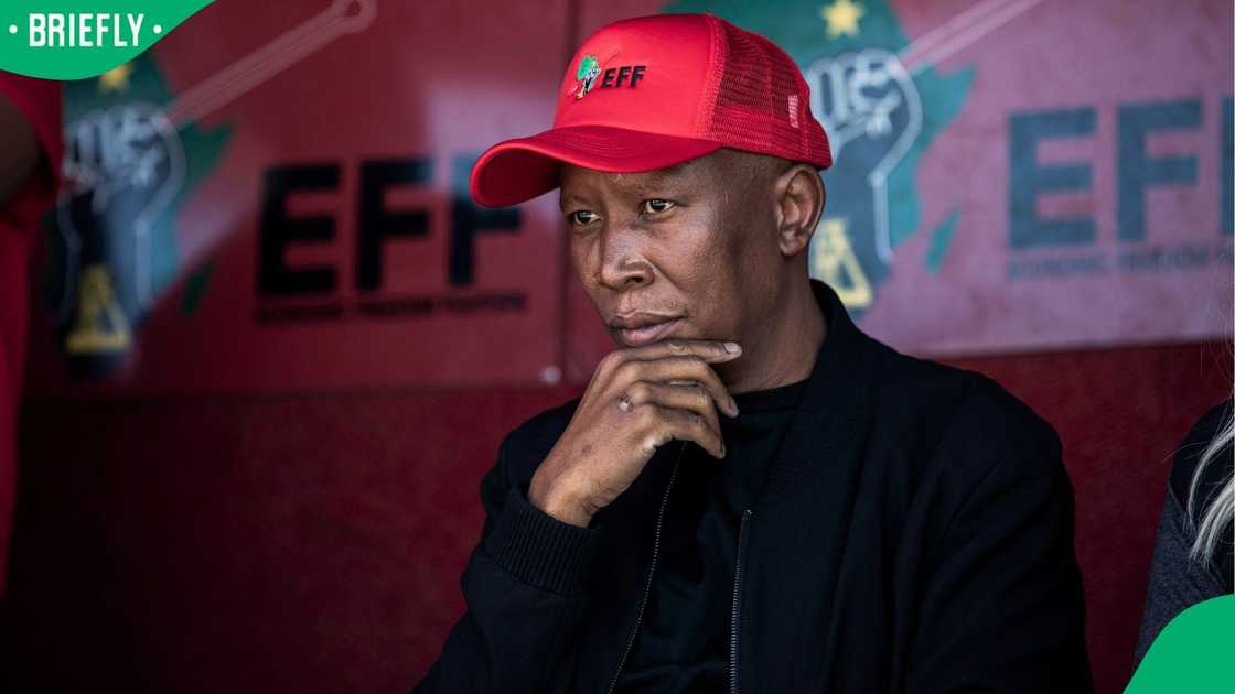 Julius Malema recently filed a lawsuit against Ngizwe Mchunu