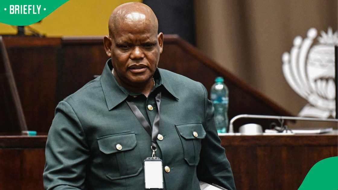 Khomotso Phahlane testified before Parliament's Ad Hoc Committee