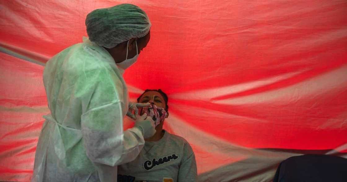 Fourth wave of infections, Covid-19, December, experts Fourth wave of infections, Covid-19, December, experts