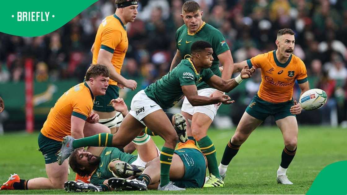 Wallabies vs Springboks