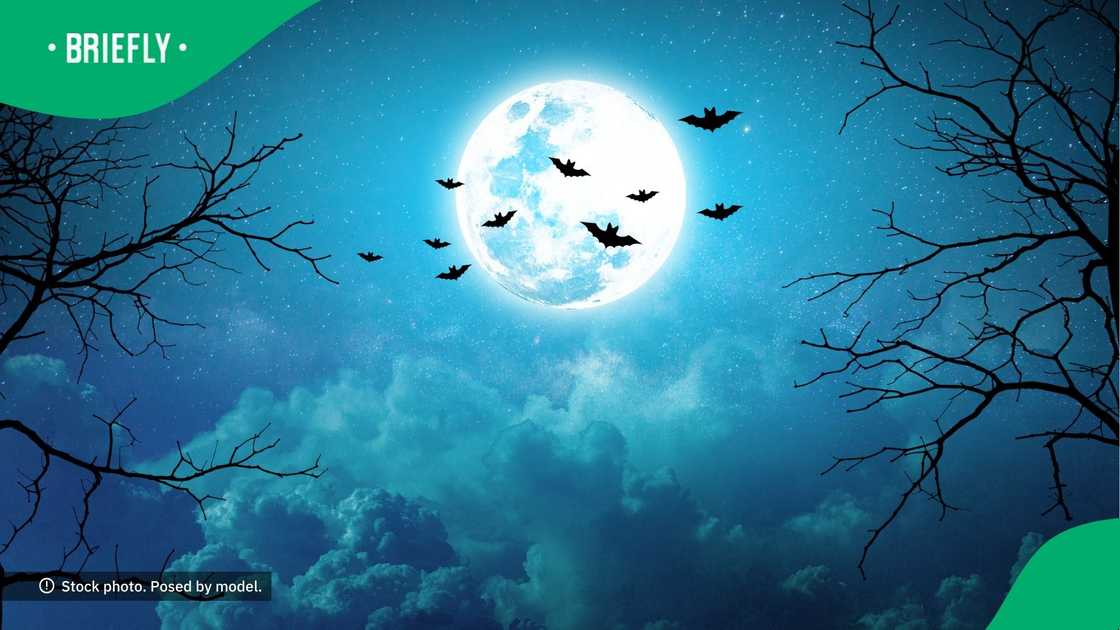 Lady experiences spooky night Lady experiences spooky night