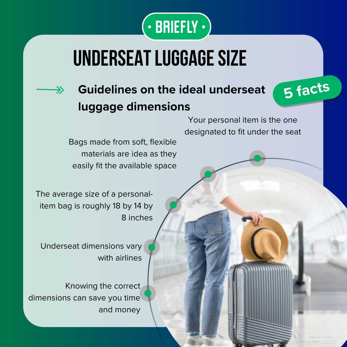 A traveller with a luggage A traveller with a luggage