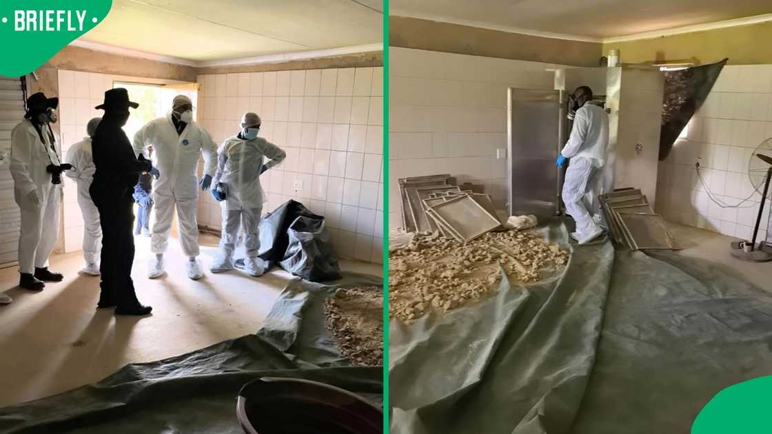 Police raided a mandrax lab in the North West Police raided a mandrax lab in the North West