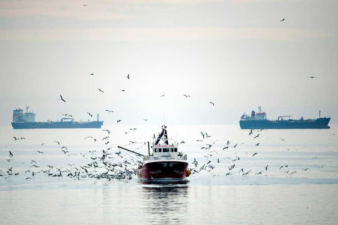 An NGO called the EU's proposed measures to prevent overfishing a 'landmark moment'