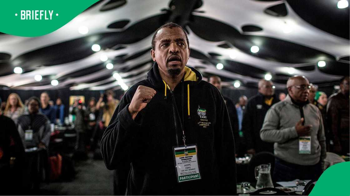 Hope Papo blamed the media for the party's decline in Gauteng Hope Papo blamed the media for the party's decline in Gauteng