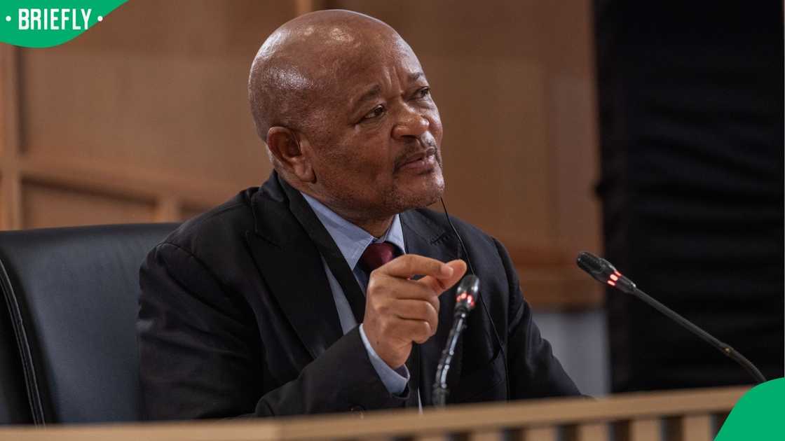 Parliament’s Ad Hoc Committee is divided over Senzo Mchunu's intentions when he disbanded the PKTT