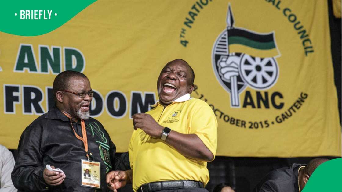 Politicians bashed online