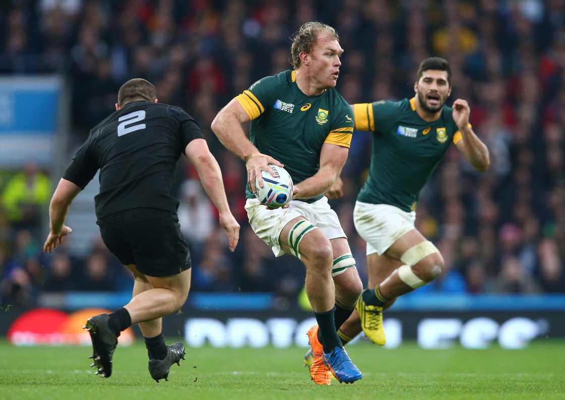 Springboks, South Africa, All Blacks, New Zealand