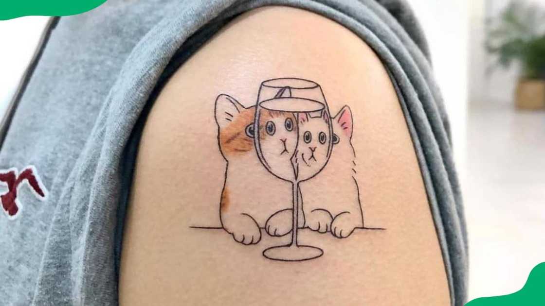 Champagne-popping cat Champagne-popping cat