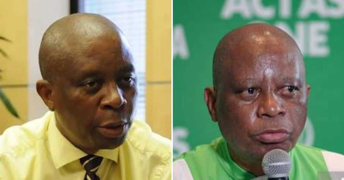 ActionSA, Herman Mashaba, The DA, Foreign nationals