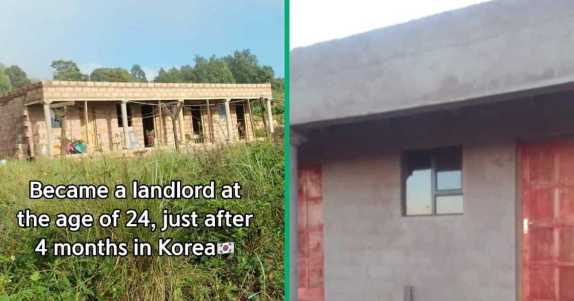 She became a landlady She became a landlady