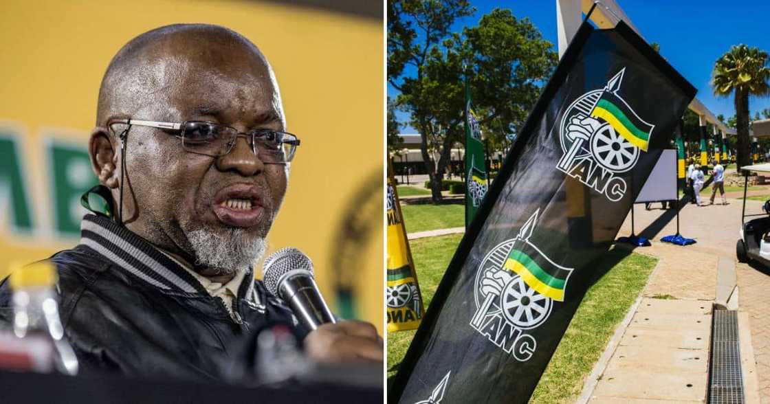 ANC National Chairperson Gwede Manstashe ANC National Chairperson Gwede Manstashe