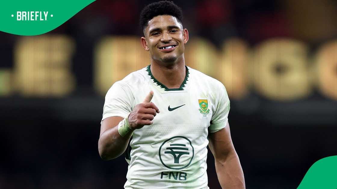 Springboks, Sacha Feinberg-Mngomezulu, South Africa Springboks, Sacha Feinberg-Mngomezulu, South Africa