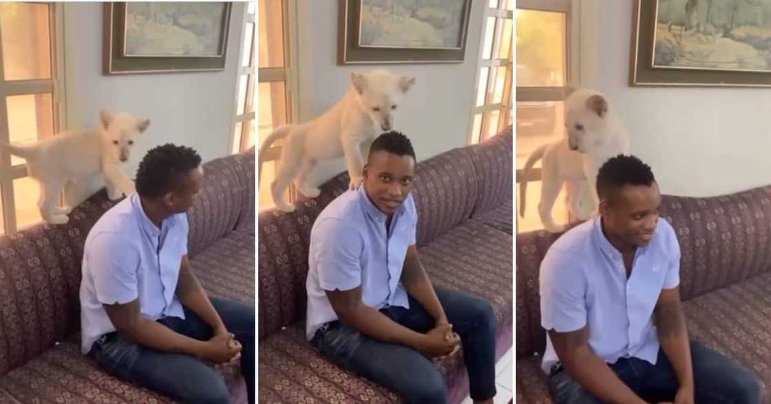 Video, Duduzane Zuma, Lion Cub, Mzansi Video, Duduzane Zuma, Lion Cub, Mzansi