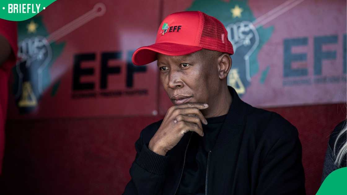 Julius Malema has agreed to apologise to Judge Keoagile Matojane Julius Malema has agreed to apologise to Judge Keoagile Matojane