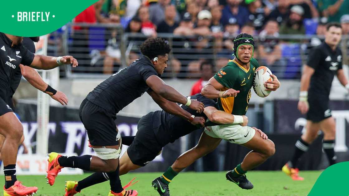 Springboks vs All Blacks