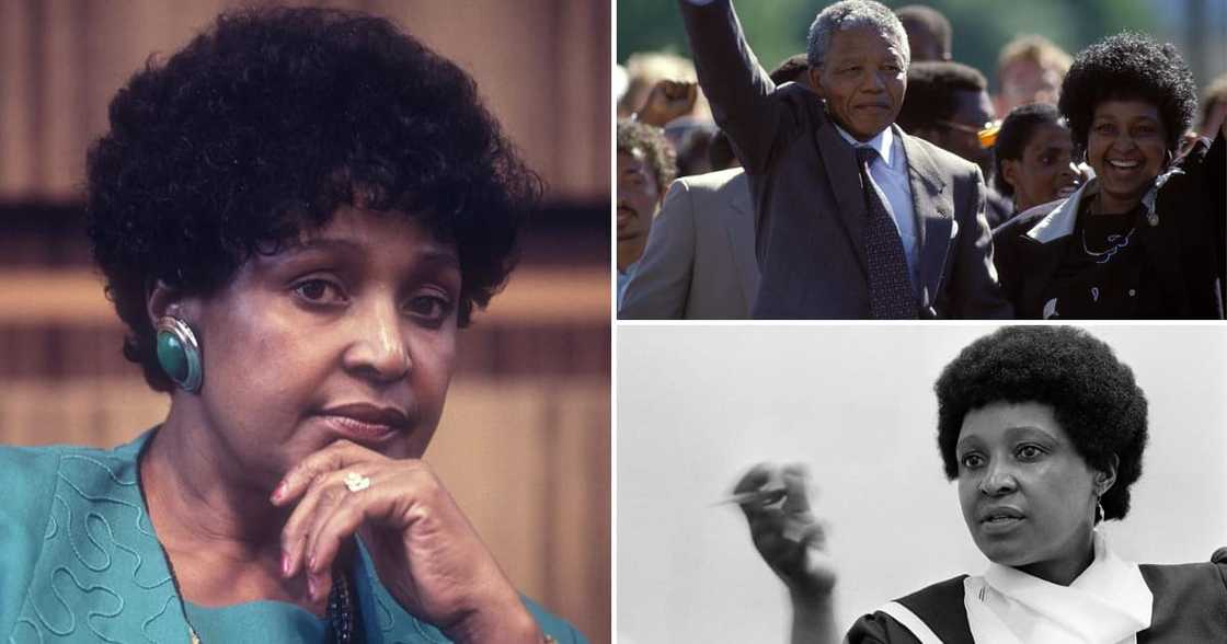 Winnie Mandela looked great in an afro Winnie Mandela looked great in an afro