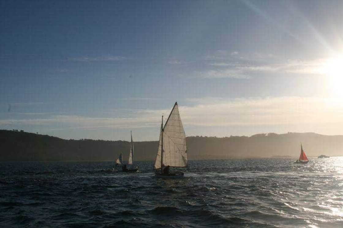 things to do in George things to do in George