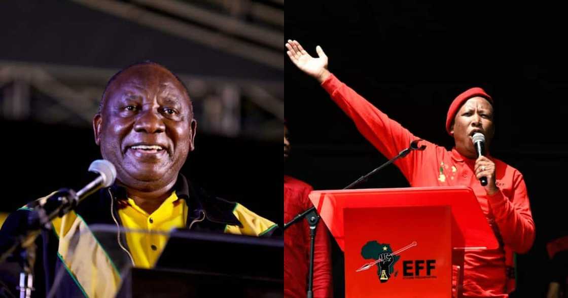 Malema, Ramaphosa, EFF, ANC, elections